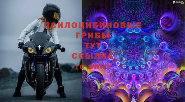 ПСИЛОЦИБИНОВЫЕ ГРИБЫ Белокуриха