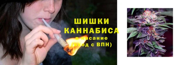 ПСИЛОЦИБИНОВЫЕ ГРИБЫ Белокуриха