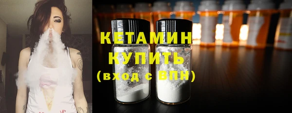 шишки Сосновый Бор