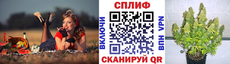 Канабис OG Kush  Полесск 